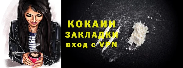 spice Бородино