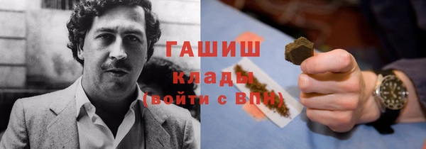 spice Бородино