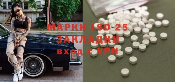spice Бородино