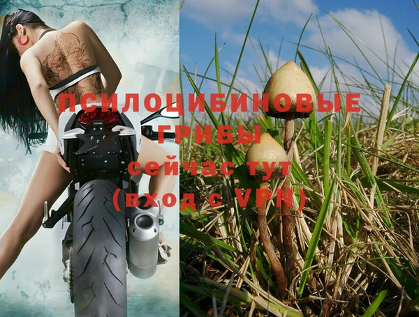 spice Бородино